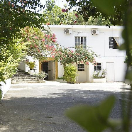 Hotel San San Tropez Port Antonio Exterior foto